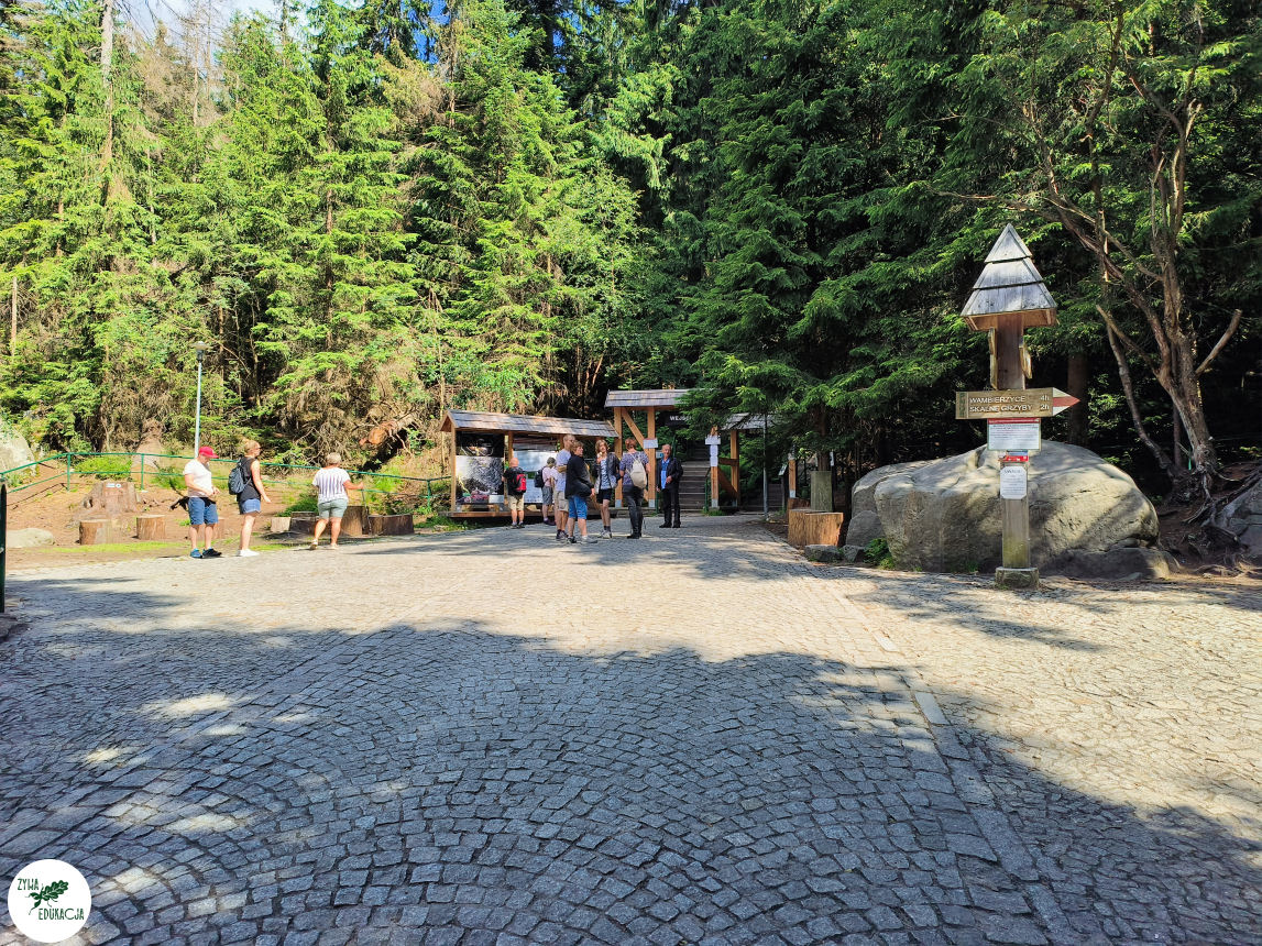 galeria Szczeliniec Wielki lipiec 2023