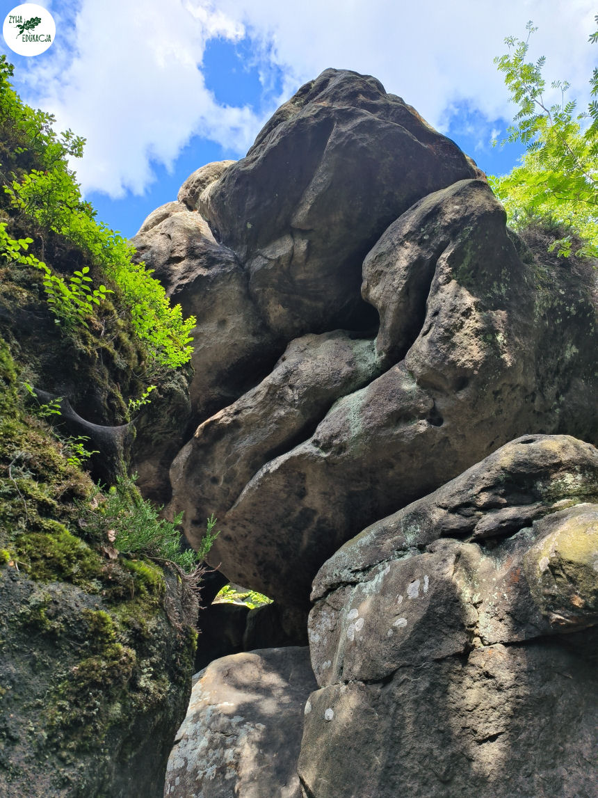 galeria Szczeliniec Wielki lipiec 2023