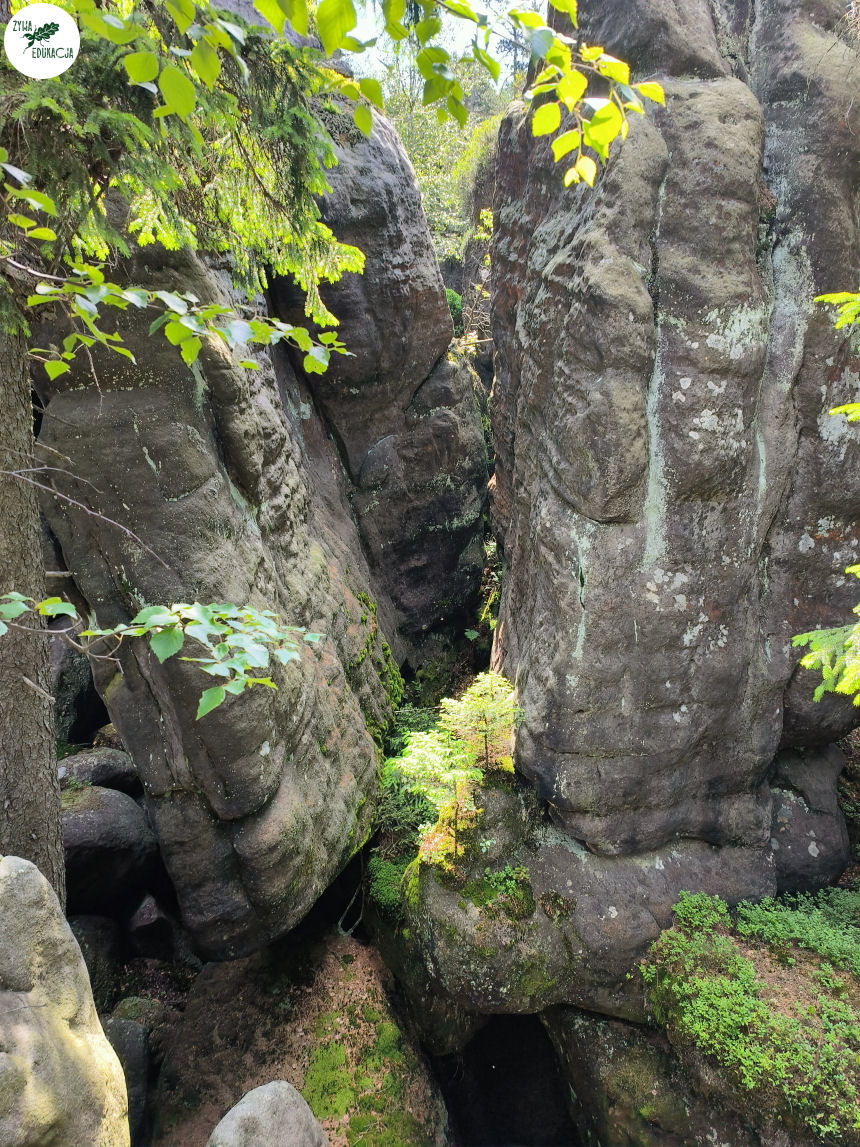 galeria Szczeliniec Wielki lipiec 2023