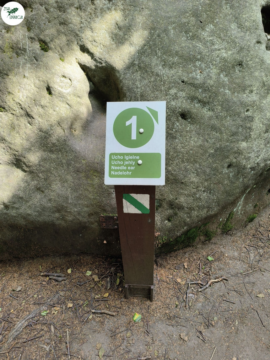 galeria Szczeliniec Wielki lipiec 2023