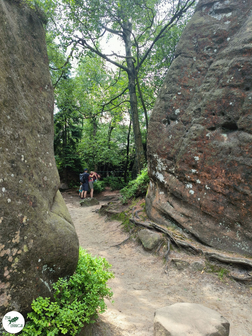galeria Szczeliniec Wielki lipiec 2023