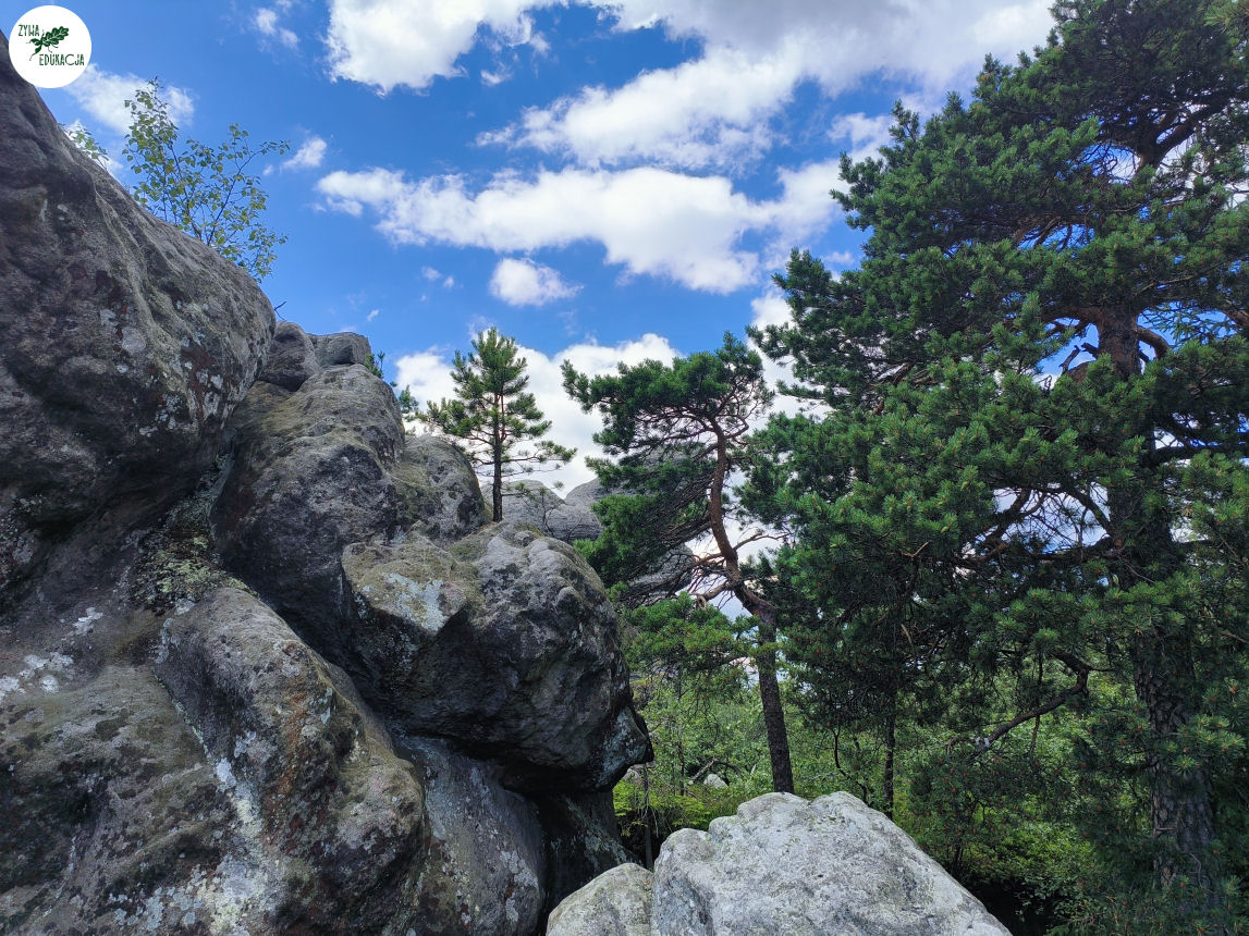 galeria Szczeliniec Wielki lipiec 2023