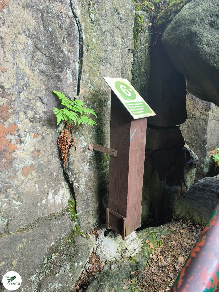 galeria Szczeliniec Wielki lipiec 2023