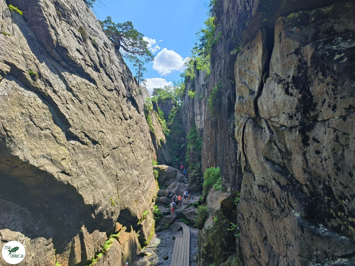 galeria Szczeliniec Wielki lipiec 2023