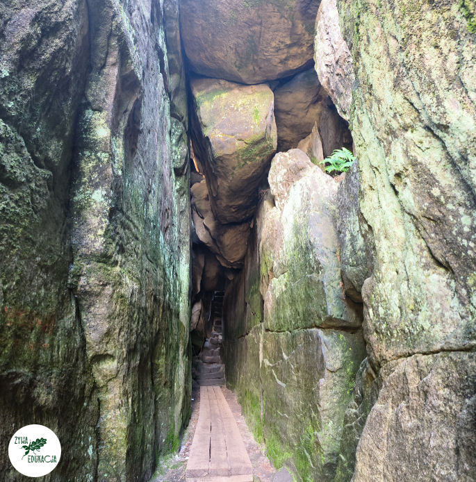 galeria Szczeliniec Wielki lipiec 2023