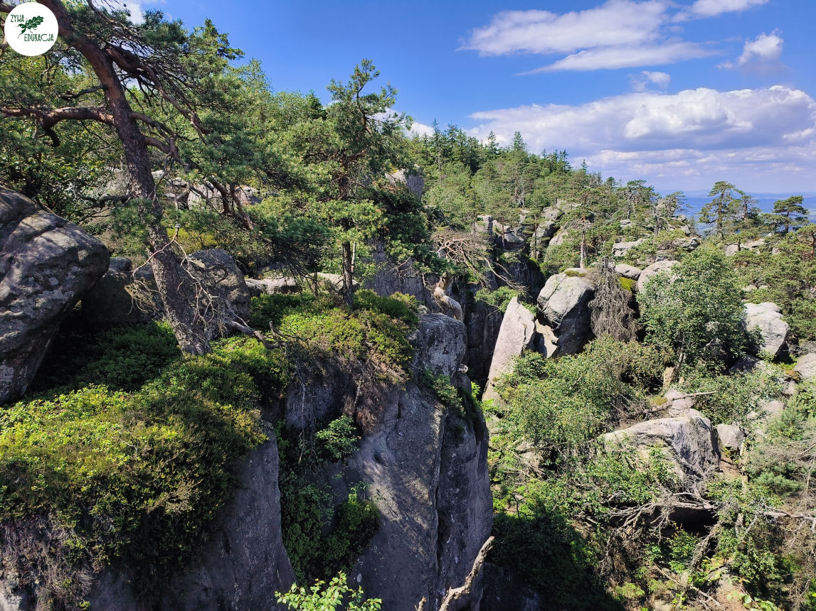 galeria Szczeliniec Wielki lipiec 2023