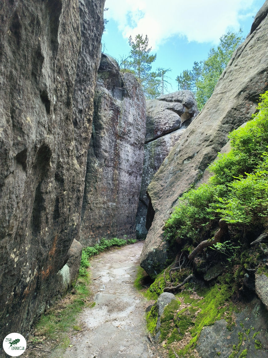 galeria Szczeliniec Wielki lipiec 2023