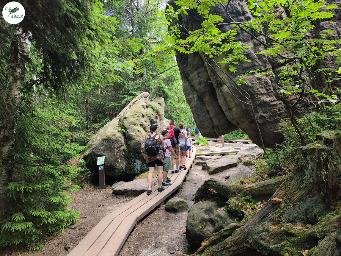 galeria Szczeliniec Wielki lipiec 2023