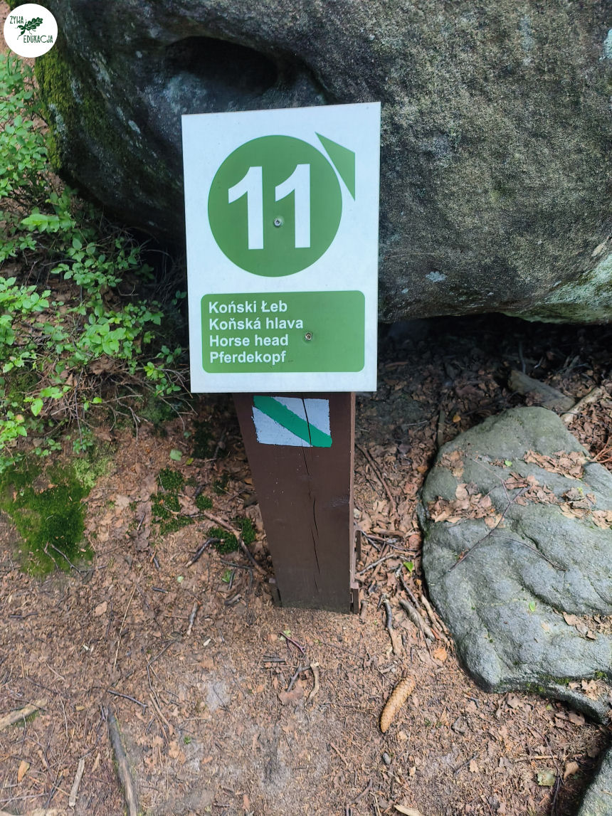 galeria Szczeliniec Wielki lipiec 2023