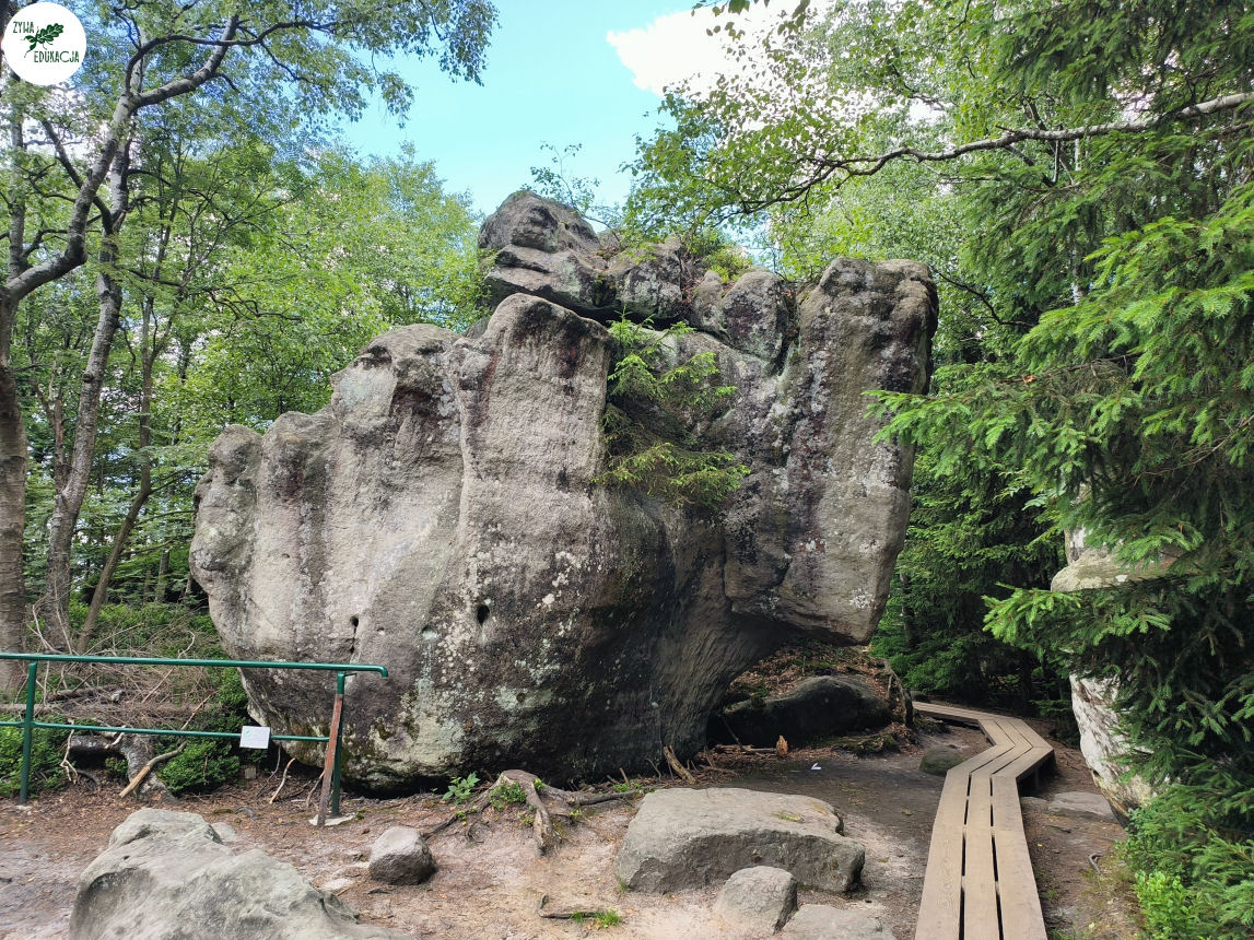 galeria Szczeliniec Wielki lipiec 2023