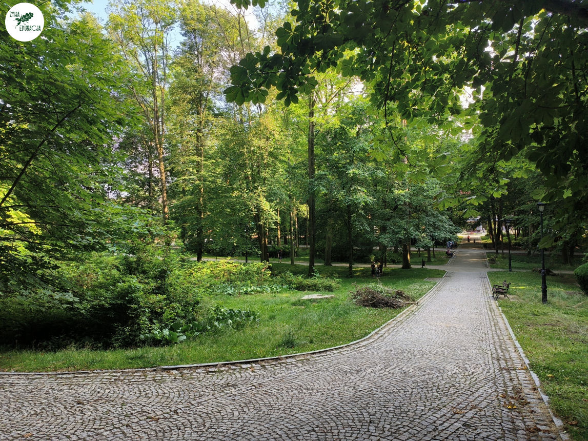 gory stolowe park zdrojowy kudowa zdrój