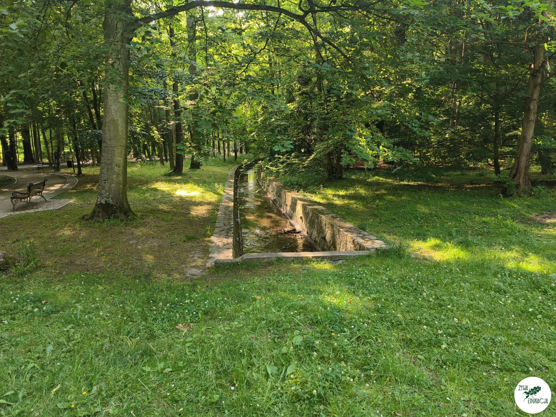 gory stolowe park zdrojowy kudowa zdrój