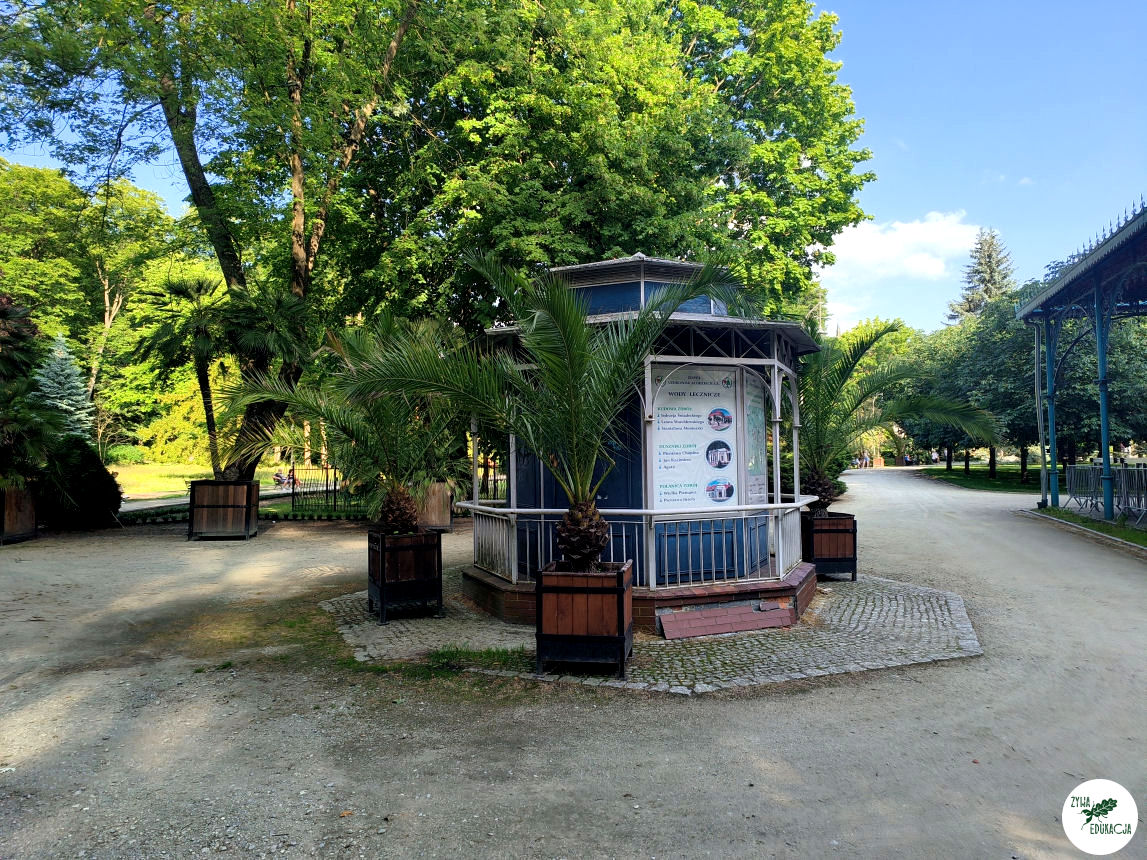 gory stolowe park zdrojowy kudowa zdrój