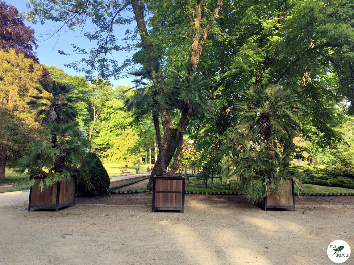 gory stolowe park zdrojowy kudowa zdrój