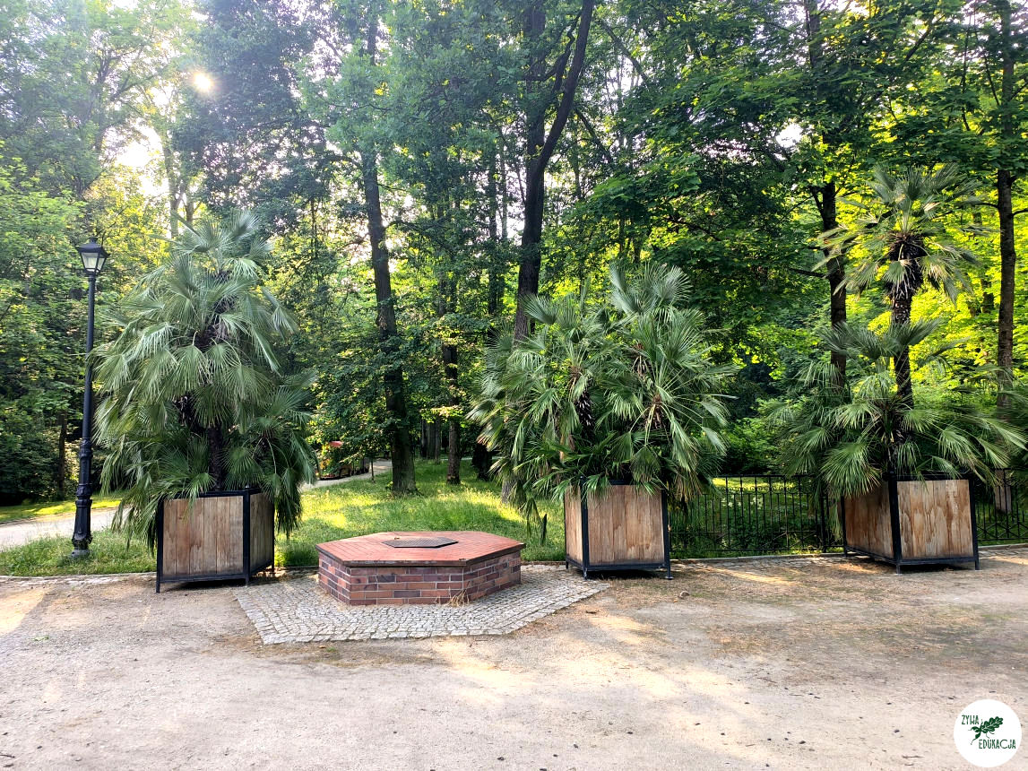 gory stolowe park zdrojowy kudowa zdrój