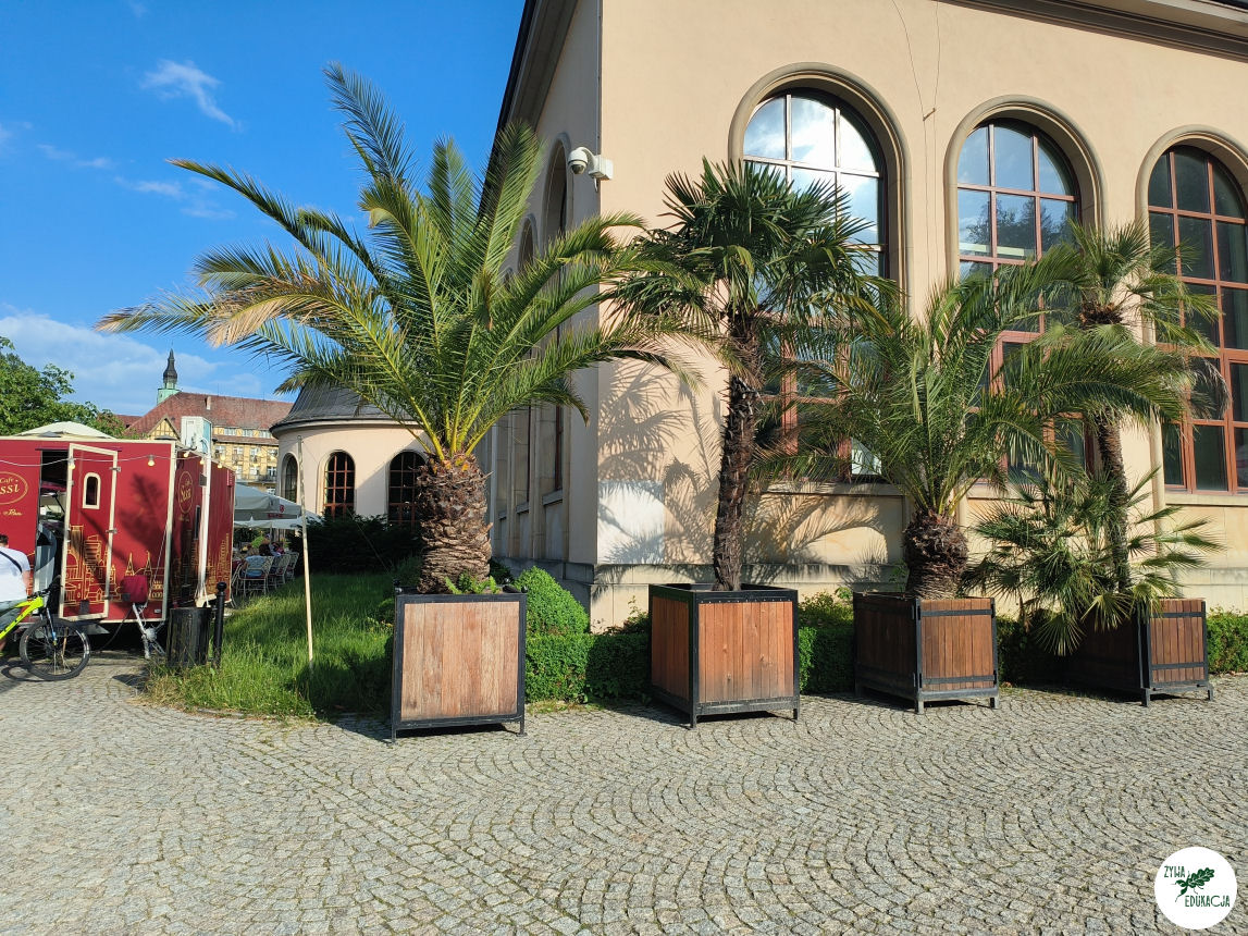 gory stolowe park zdrojowy kudowa zdrój