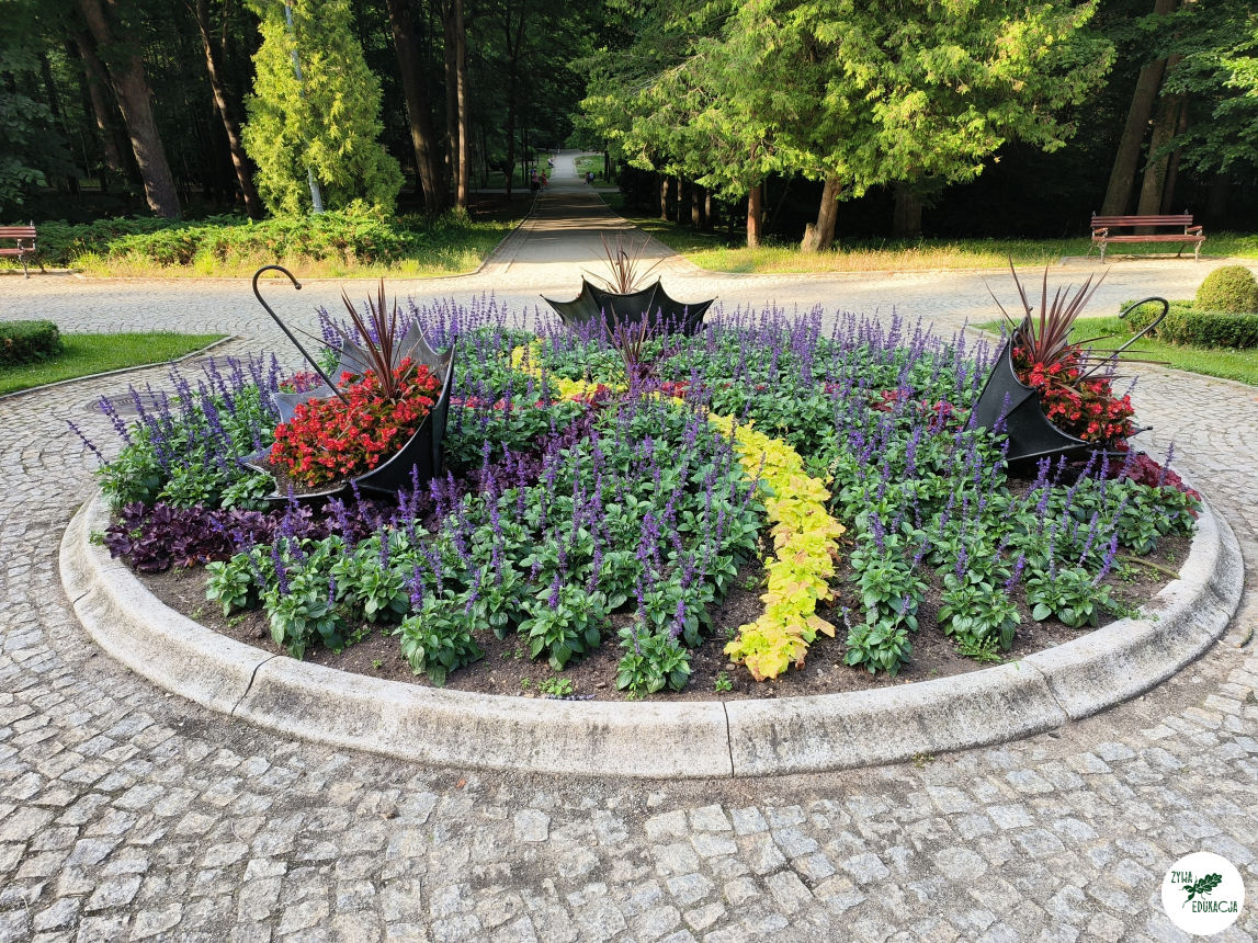 gory stolowe park zdrojowy kudowa zdrój