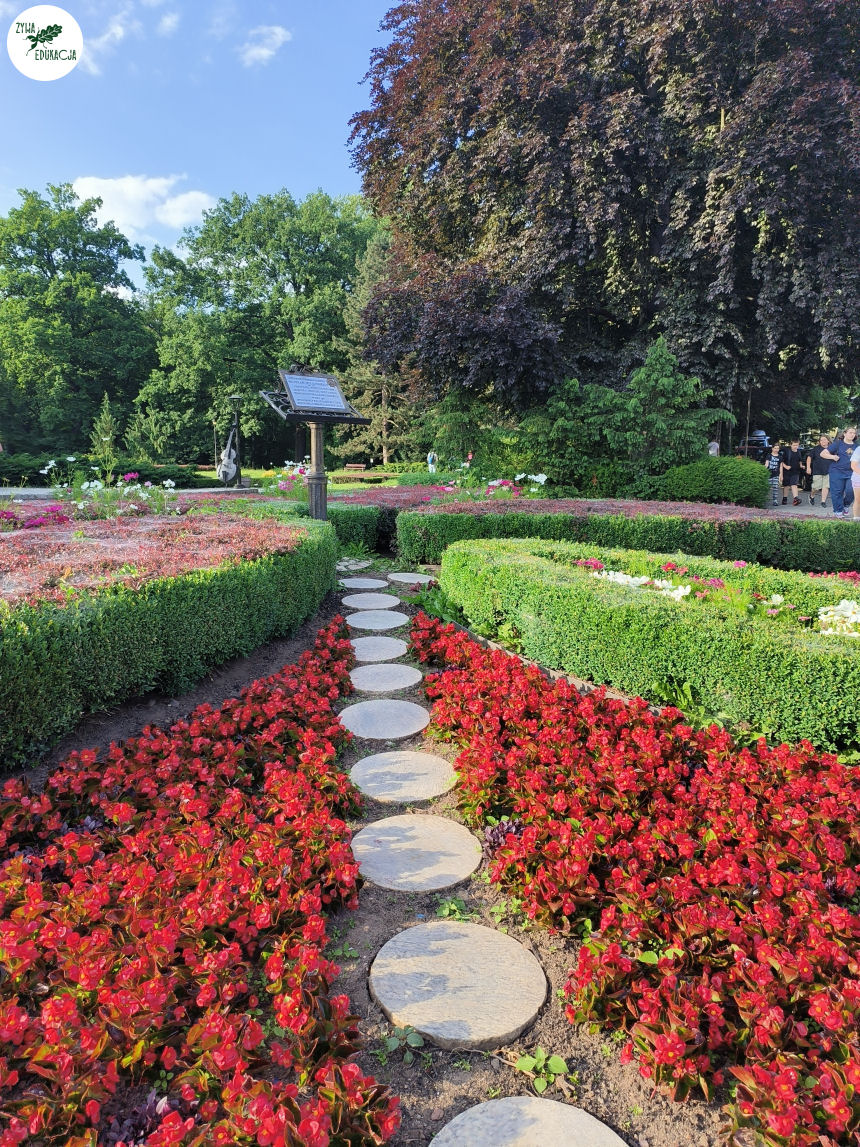 gory stolowe park zdrojowy kudowa zdrój