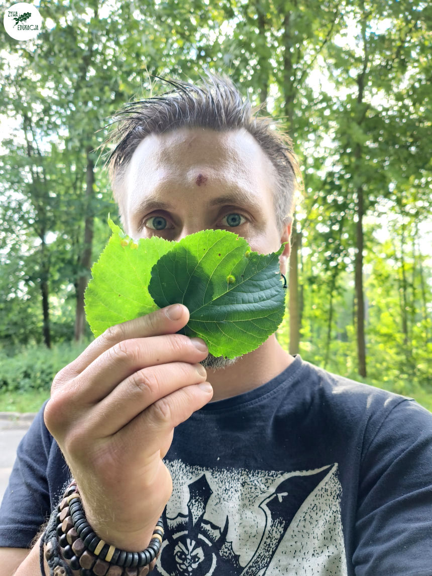 gory stolowe park zdrojowy kudowa zdrój