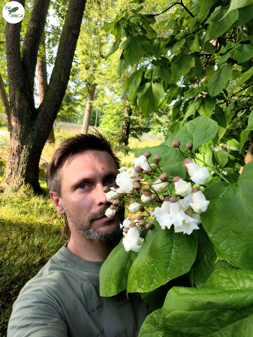 gory stolowe park zdrojowy kudowa zdrój