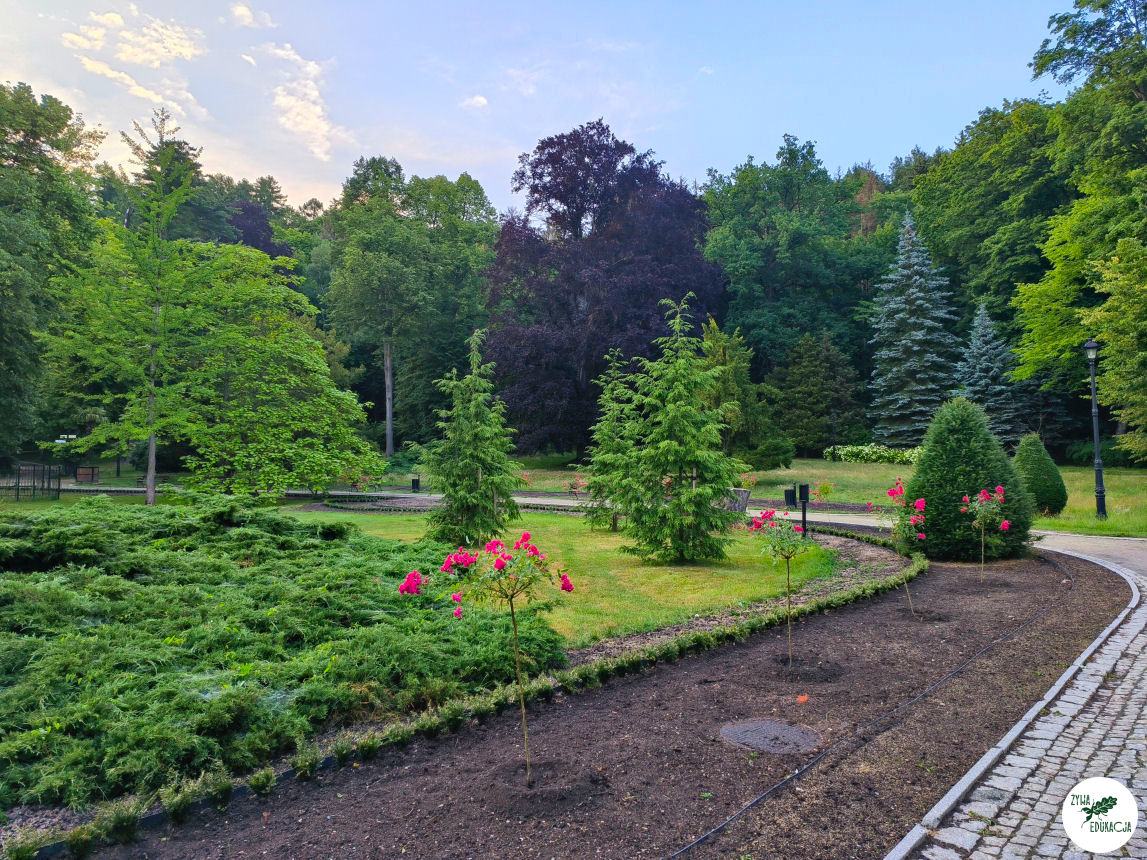 gory stolowe park zdrojowy kudowa zdrój