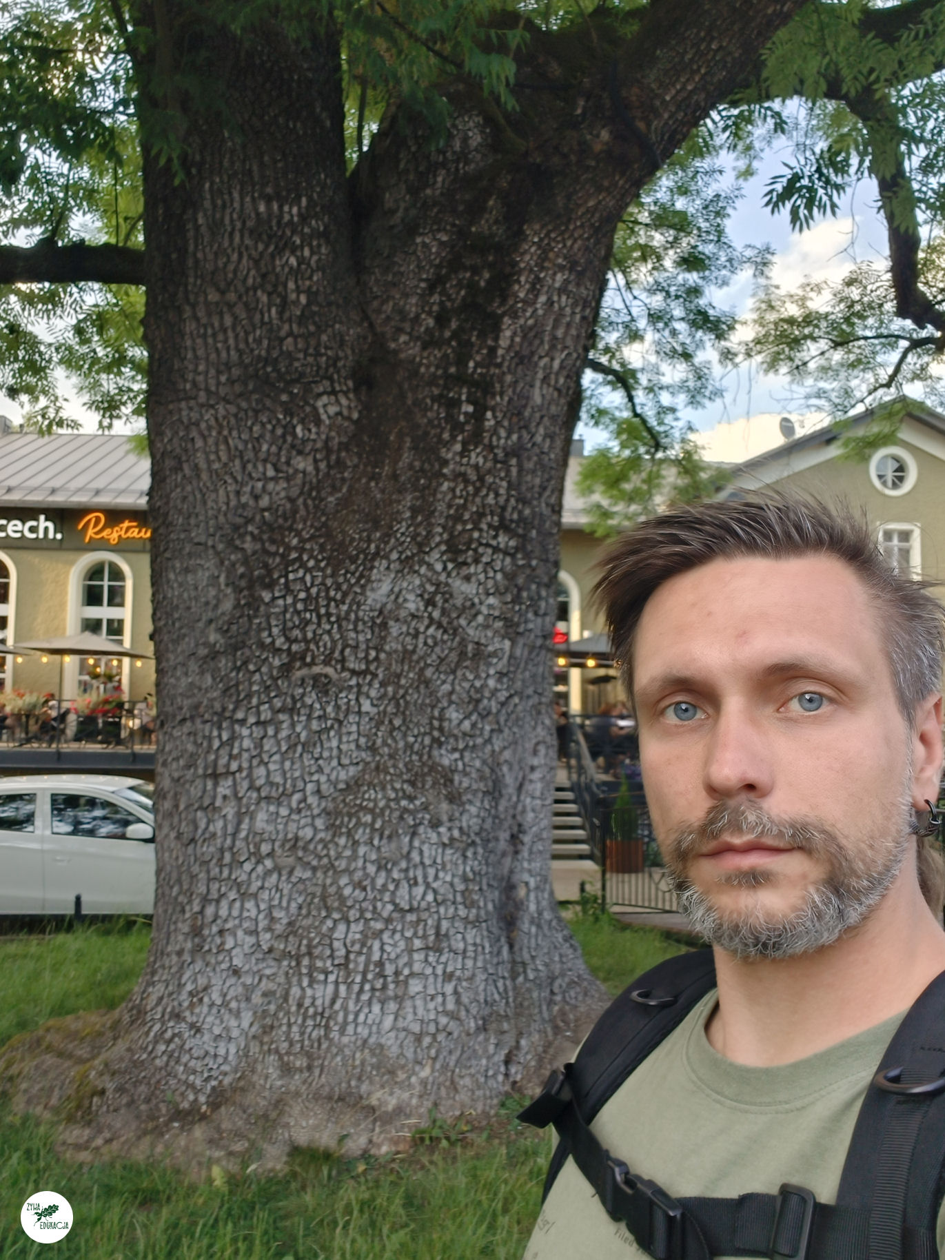 gory stolowe park zdrojowy kudowa zdrój