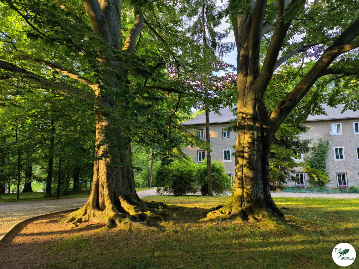 gory stolowe park zdrojowy kudowa zdrój