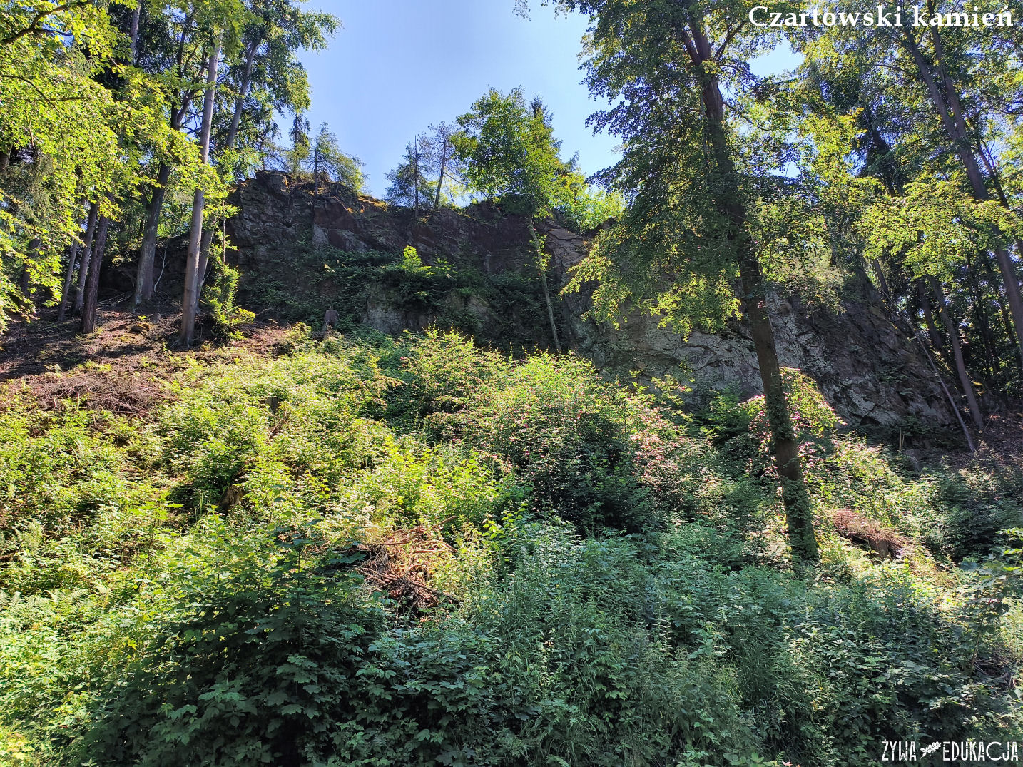 Kudowa Zdrój Czermna