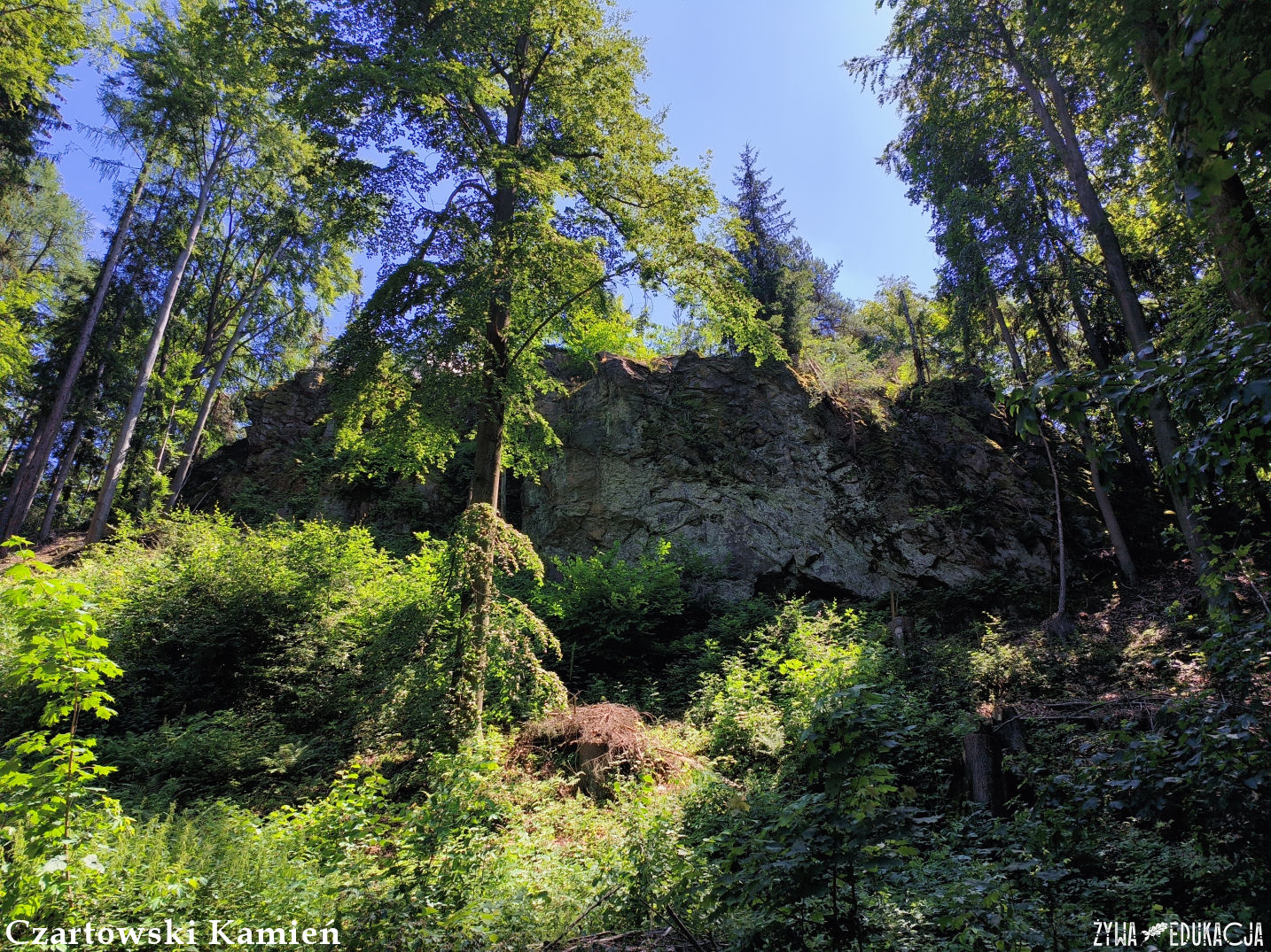 Kudowa Zdrój Czermna