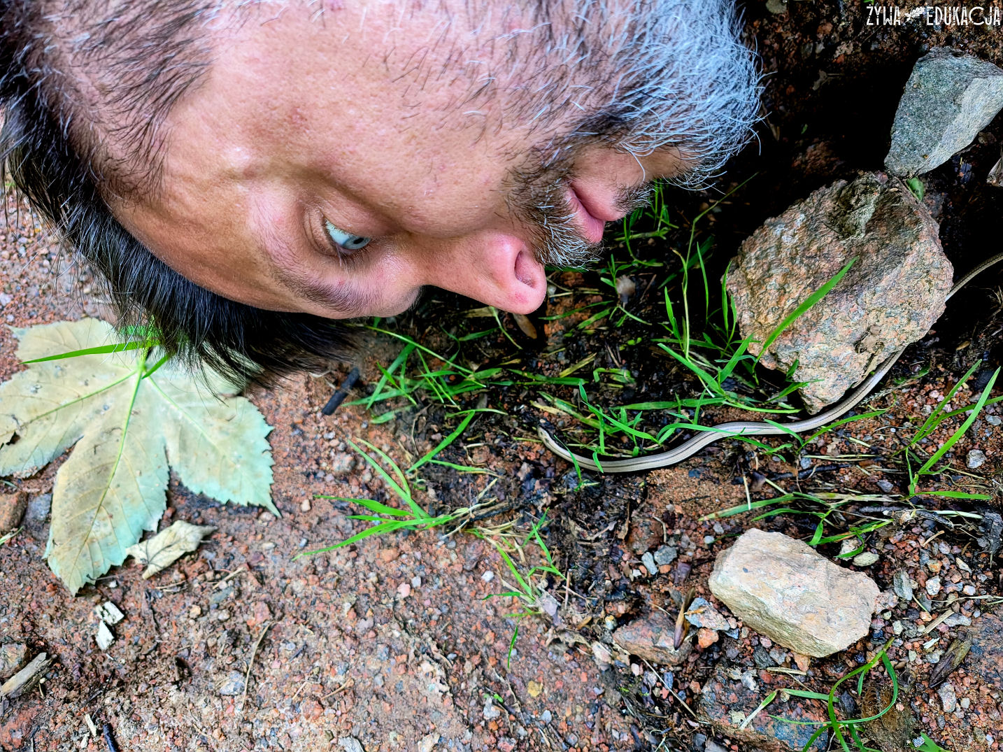 Kudowa Zdrój Czermna