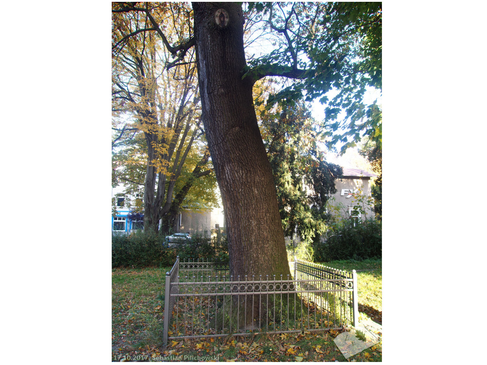 1 13 2 dabalniep tumb