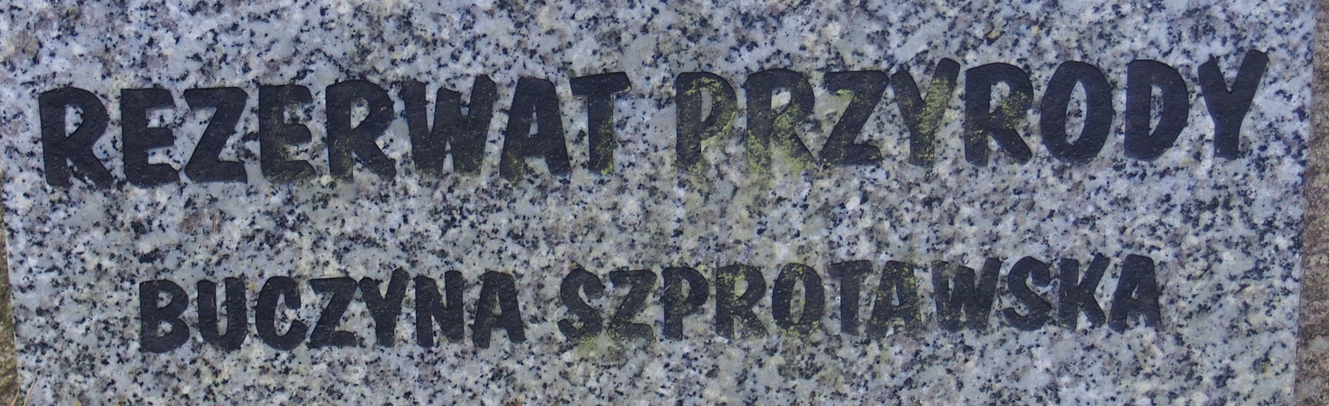 rezerwat buczyna szprotawska województwo lubuskie