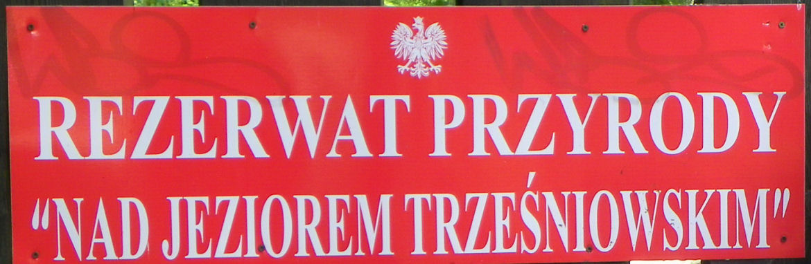 rezerwat nad jeziorem trześniowskim ciecz Łagów lubuski tablica