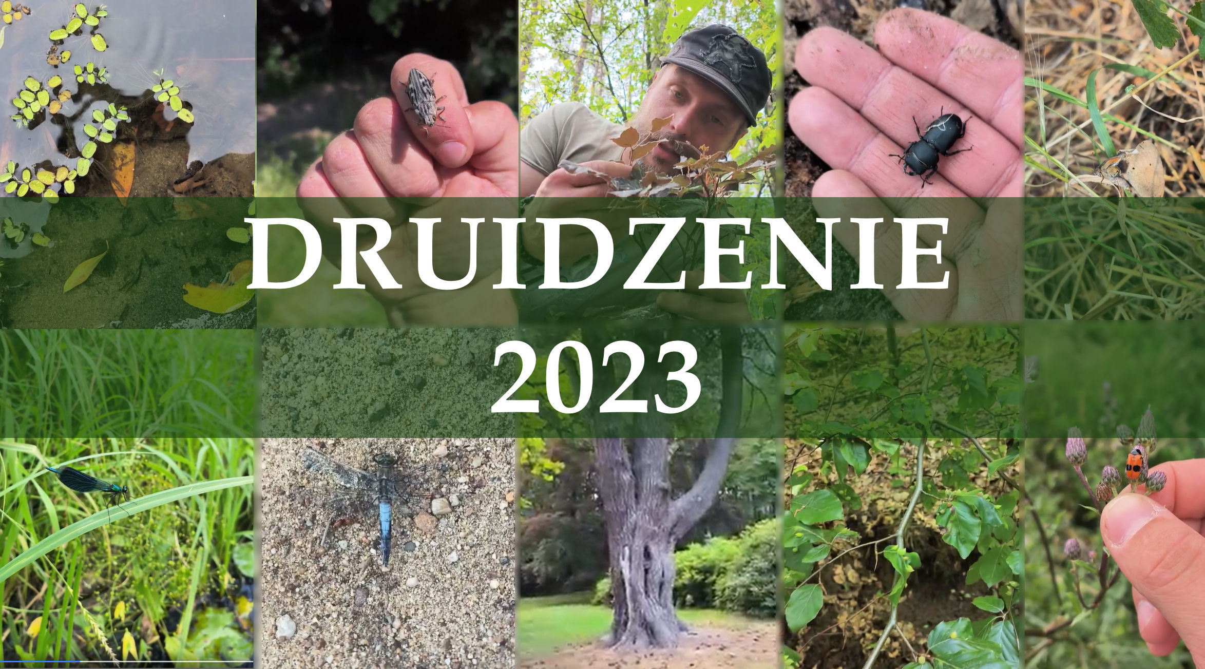 vizeo druidzenie 2023