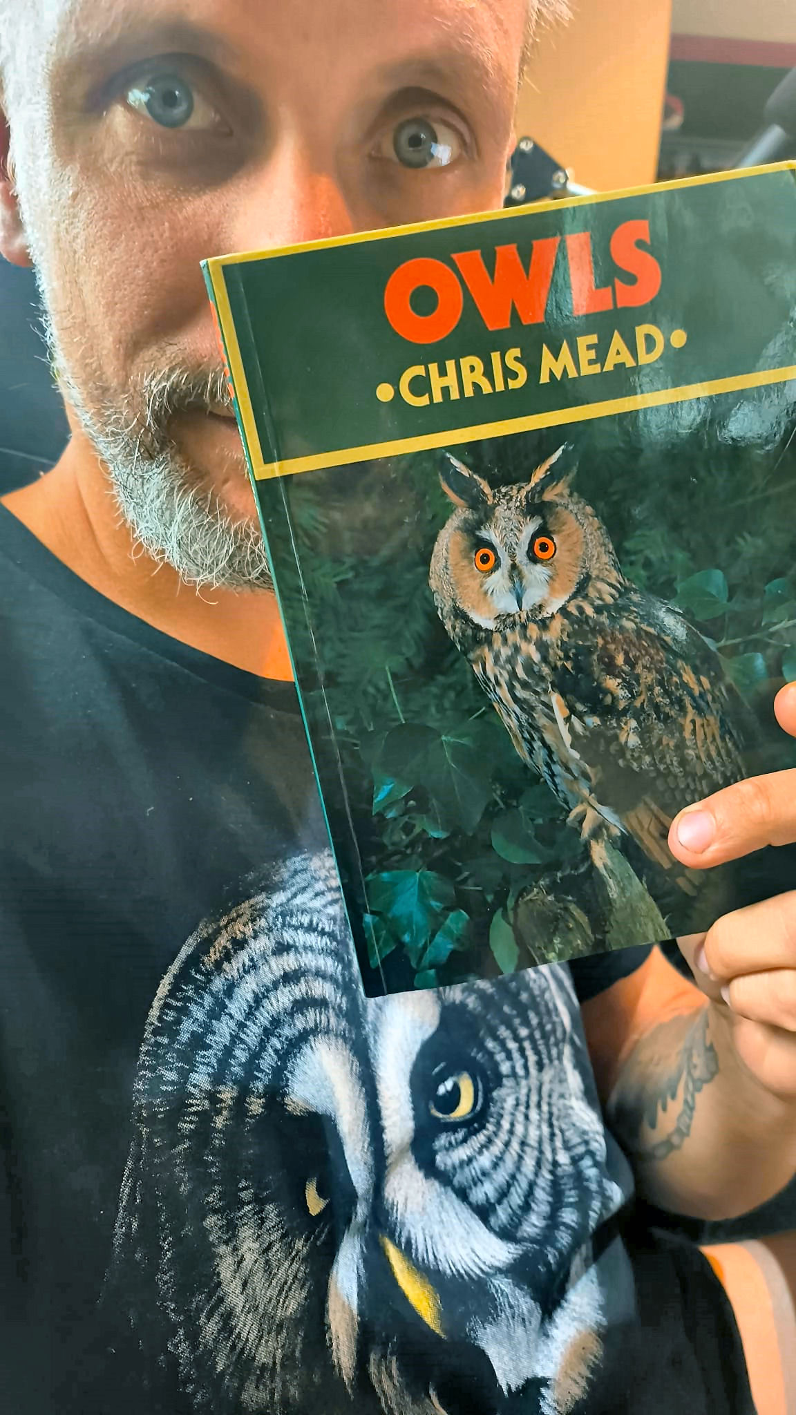 owls ch mead
