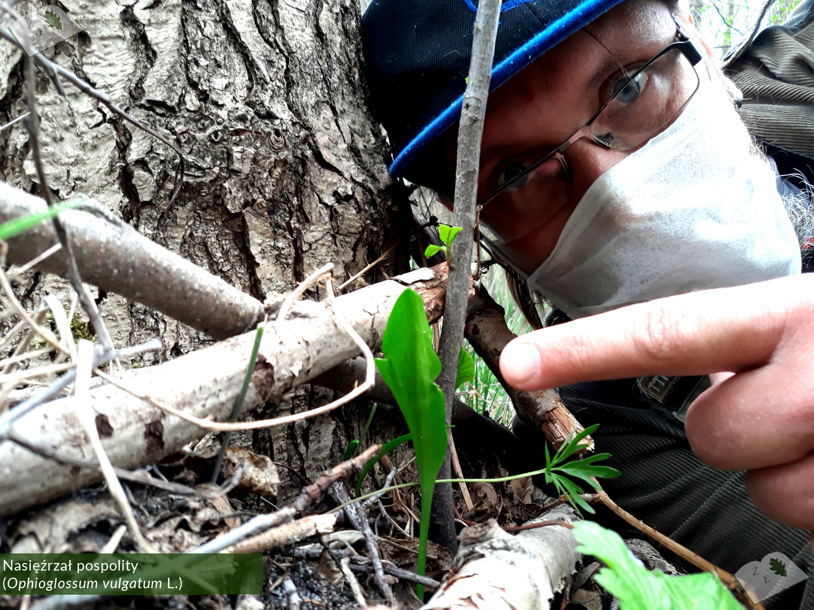 zpk zrod ges 030520 nasiezrzal 05