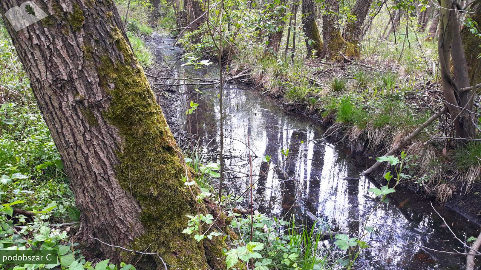 zpk zrod ges 030520 podob c 01