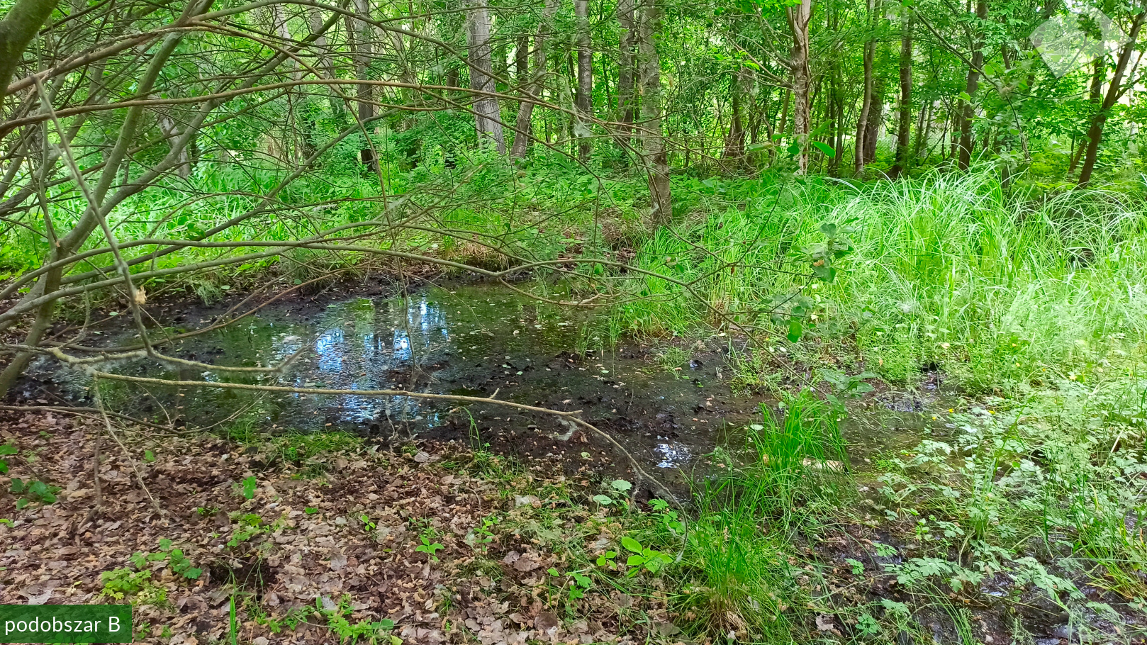 zpk zrod ges 140620 podob b 01