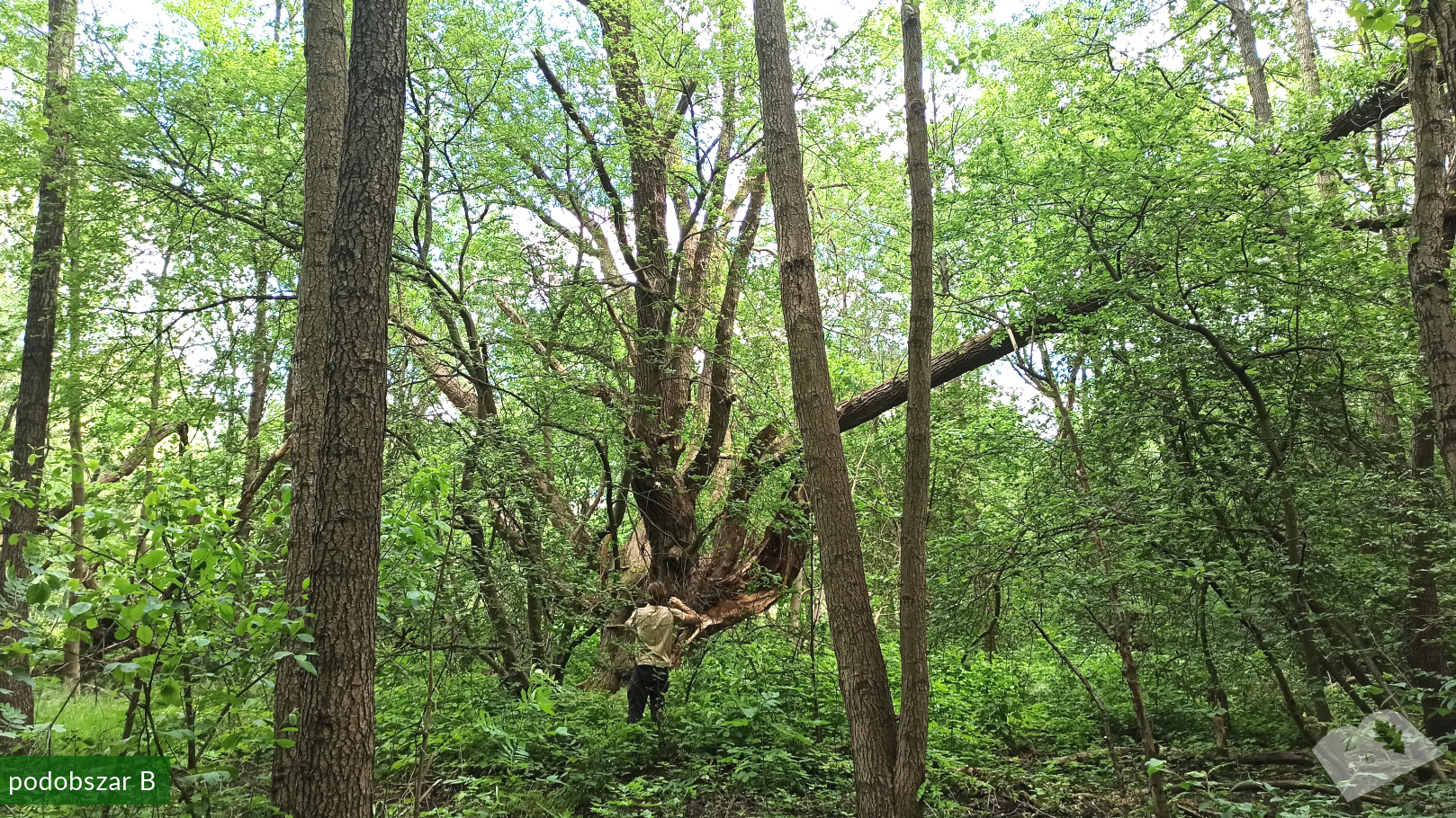 zpk zrod ges 140620 podob b 04