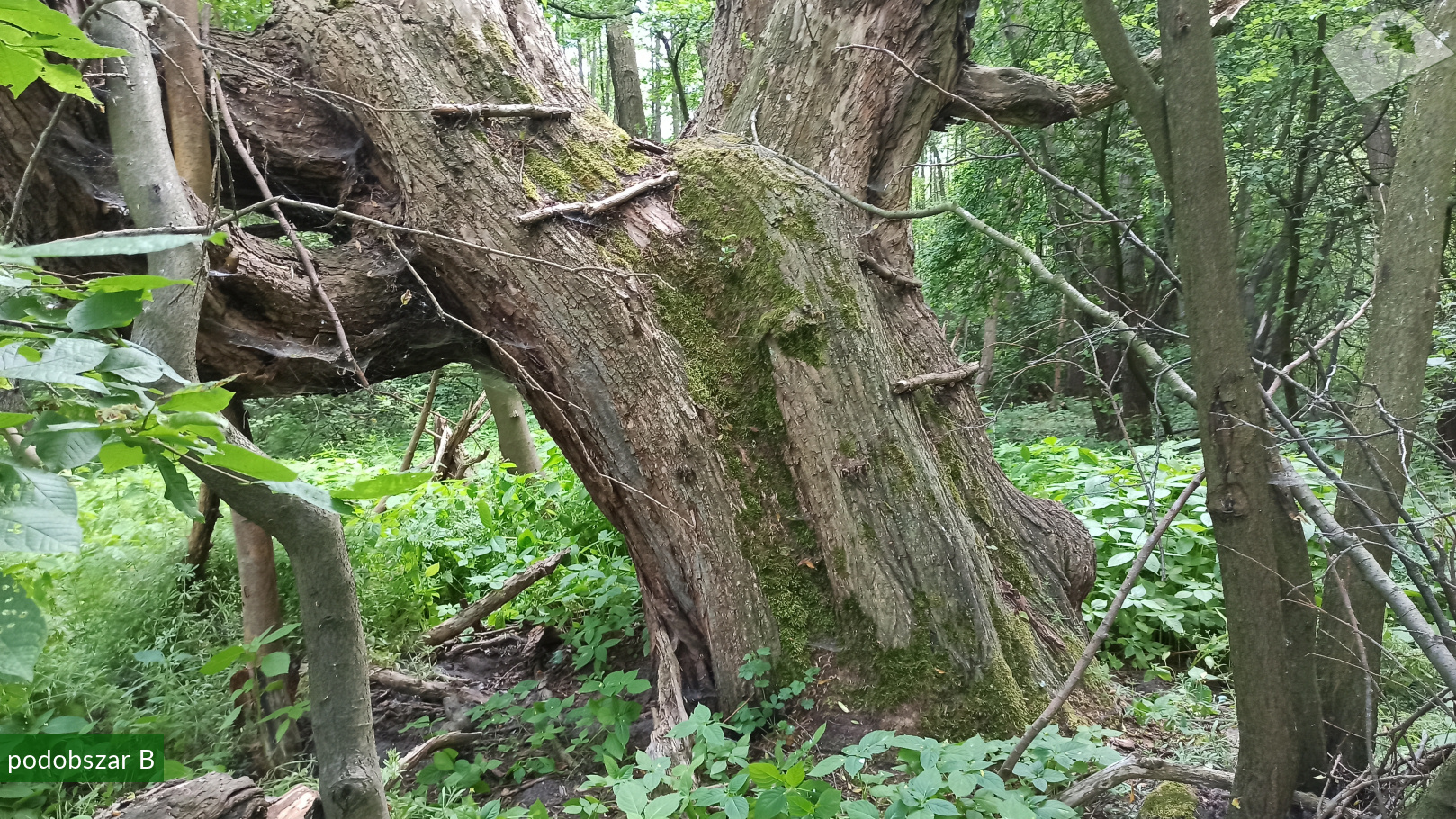 zpk zrod ges 140620 podob b 05